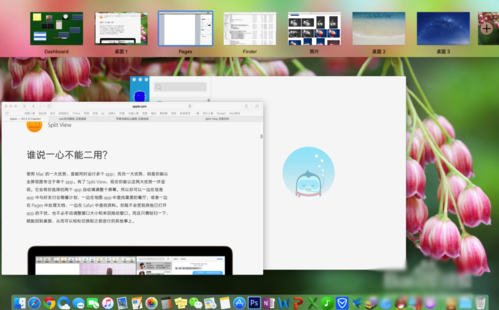 Mac分屏功能怎么用?