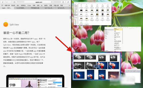 Mac分屏功能怎么用?