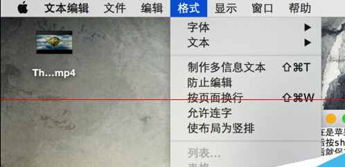 Mac系统下.txt格式的纯文本怎么保存？