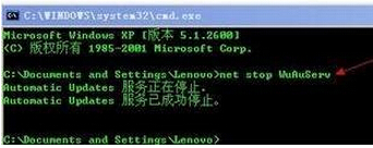 无法在Windows XP系统中安装.net怎么办？