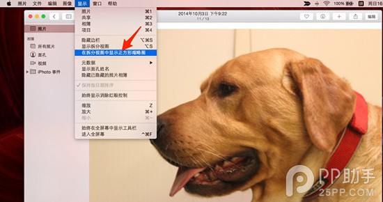 OS X照片应用的5个冷门使用技巧