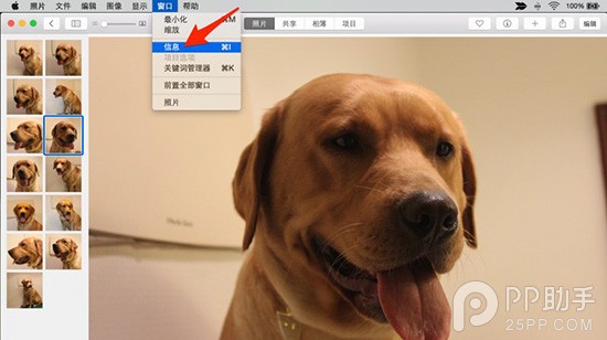 OS X照片应用的5个冷门使用技巧
