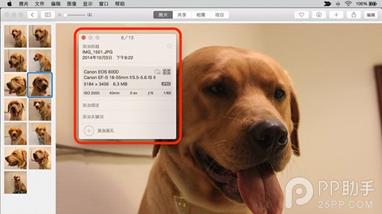 OS X照片应用的5个冷门使用技巧