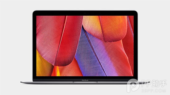 苹果春季发布会视频图文直播 新Macbook 1299美元起