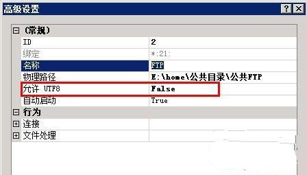 IIS FTP部分文件上传报错451的解决方法