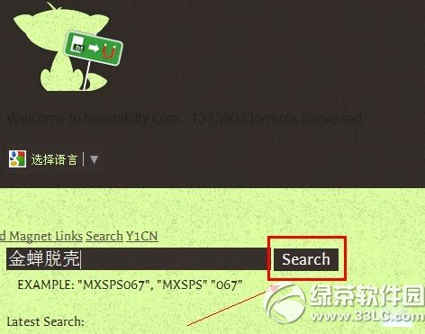 torrentkitty怎么用番号？