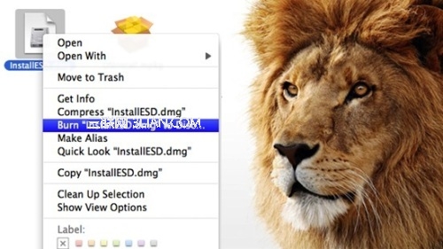 将Mac App Store的Lion刻到 DVD上