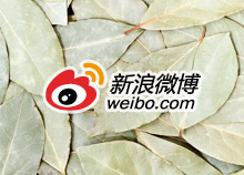 新浪微博企业版影响力分析有什么用？