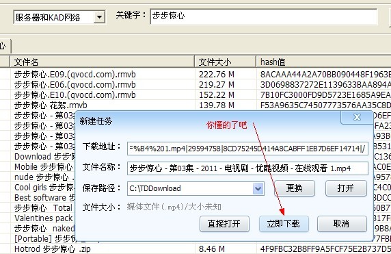 p2psearcher详细图文使用教程