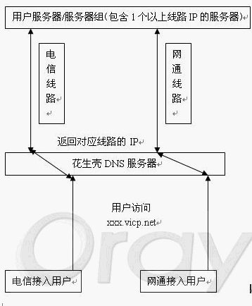 Oray域名双线路智能DNS负载均衡