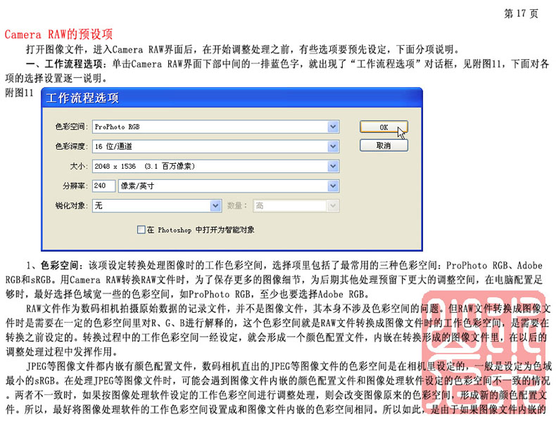 Camera RAW 使用手册：摄影后期处理教材
