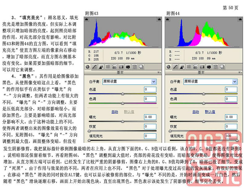 Camera RAW 使用手册：摄影后期处理教材