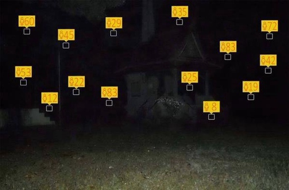 How-Old.netʶ?