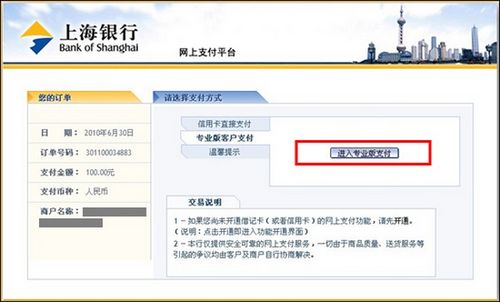 支付宝上海银行如何使用网上银行专业版支付