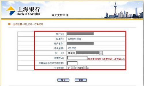 支付宝上海银行如何使用网上银行专业版支付