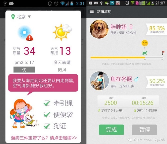 宠物咕噜APP：把人和狗的故事讲得无比生动