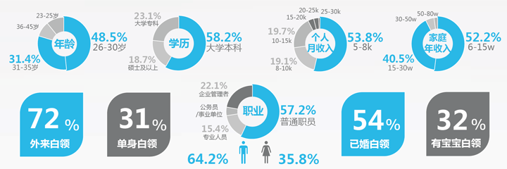 《白领网民系列调查》用户研究报告