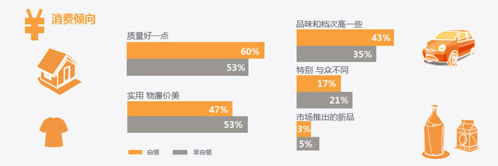 《白领网民系列调查》用户研究报告