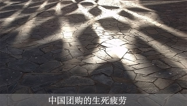 ʡŹйл