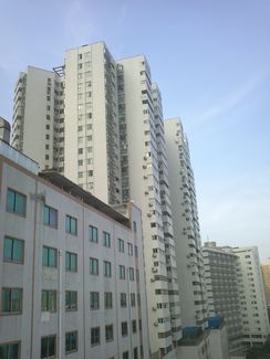 5大双核CPU手机横评 谁能HOLD住全场？