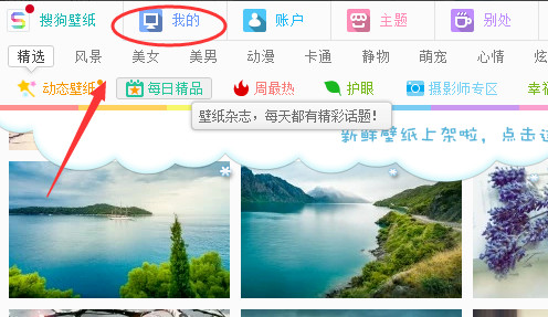 搜狗壁纸怎么自动换自己喜欢的