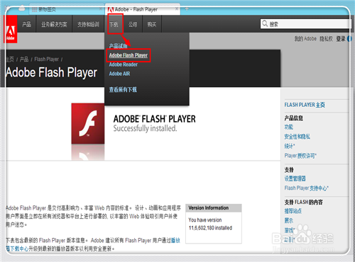 Adobe flash player怎么更新？