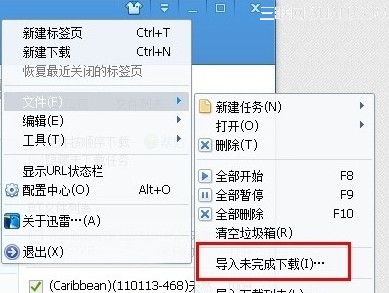 迅雷怎么导入未下载完的文件？