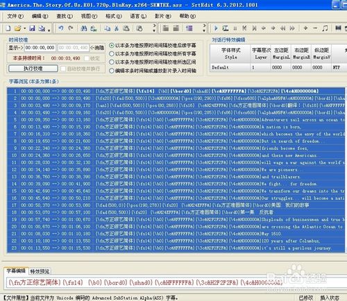 Srtedit 2012删除字幕中的中文或英文