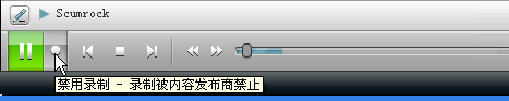 RealPlayer11实用功能集锦