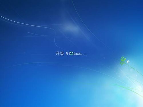 怎样把Vista升级安装成win7