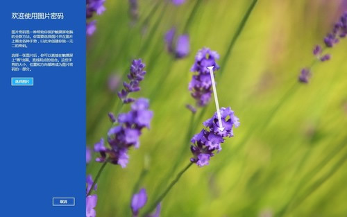 Win8ͼƬPin