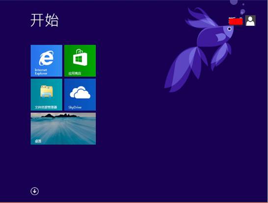 Windows 8.1 Preview װ