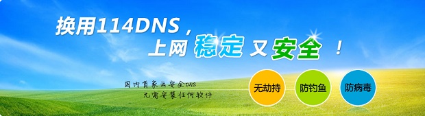 Win10ôdns