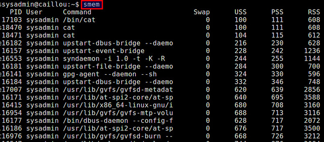 Linuxпӻʾڴռķ