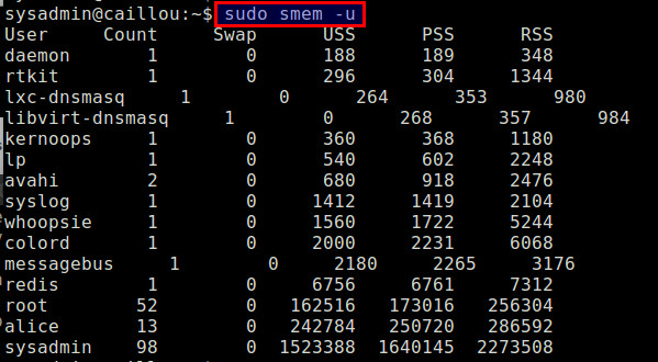 Linuxпӻʾڴռķ