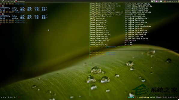 Linuxβ鿴ʱ