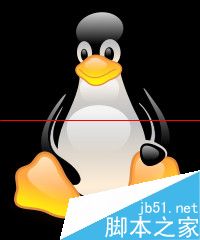 Linux操作系统支持常用的文件系统有哪些？