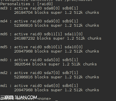 在RAID软磁盘阵列上搭建linux系统