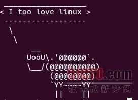 Linux命令行之逗趣的图文