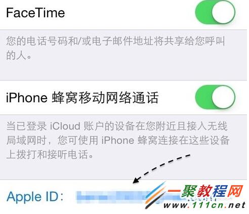 iPad mini怎么打电话？