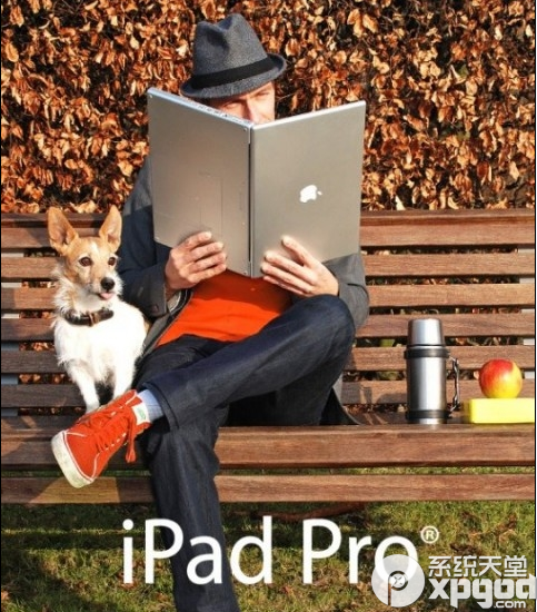 ipad pro的屏幕尺寸有多大？