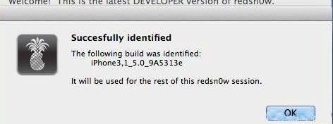 iPad miniԽ̳