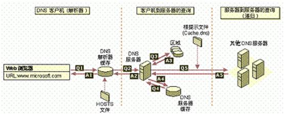 为什么PING域名得到IP与实际公网IP不符