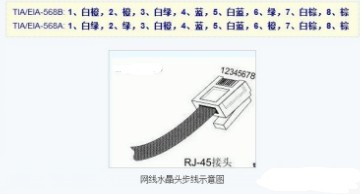 网线接头标准顺序