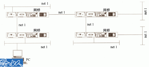 分析网桥和路由器区别