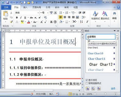 word2010处理格式和样式的技巧