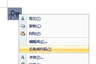 Word2007怎么合并字符使文档变小