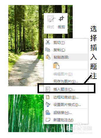 word2013给图片进行自动编号方法介绍