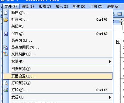 Word删除空白页方法