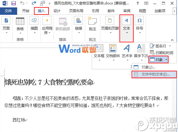 word2013ôϲĵ